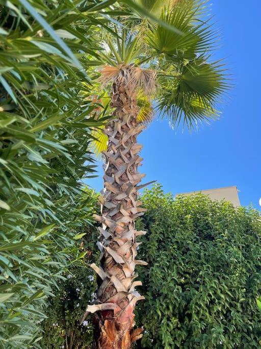 Excellent 3 Storey Villa With A Swimming Pool Belek Exteriér fotografie